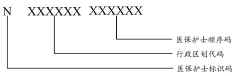 圖3 醫保護士編碼結構