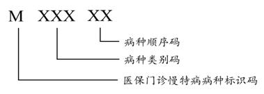 圖8醫保門診慢特病病種編碼結構