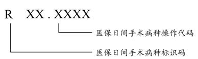 圖10 醫保日間手術病種編碼結構