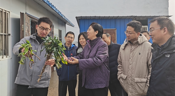 焦紅赴定點扶貧縣慰問調研