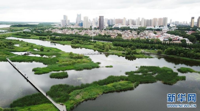 6月25日，市民在哈爾濱大劇院附近的城市濕地游玩（無人機照片）。新華社記者王建威攝