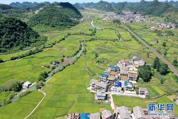 貴州省安順市鮑家屯周圍的稻田和水利工程（8月25日攝，無人機照片）。新華社記者 劉續 攝