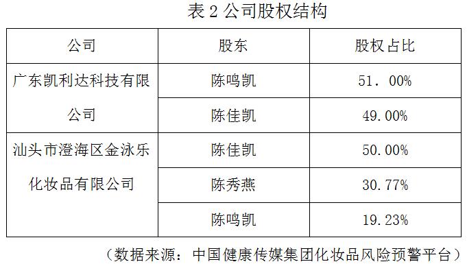表2公司股權結構