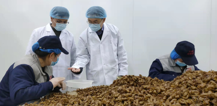 圖為執法人員在中藥飲片生產企業進行現場檢查。