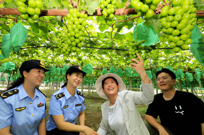 圖為淮北市市場監管局工作人員對當地一家食用農產品生產企業開展實地幫扶指導。