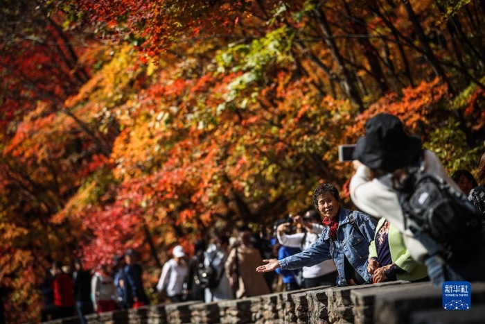 游客在遼寧省本溪市大石湖風(fēng)景區(qū)拍照留念（2020年10月7日攝）。本溪市是國(guó)家森林城市，有“楓葉之都”的美譽(yù)。新華社記者 潘昱龍 攝