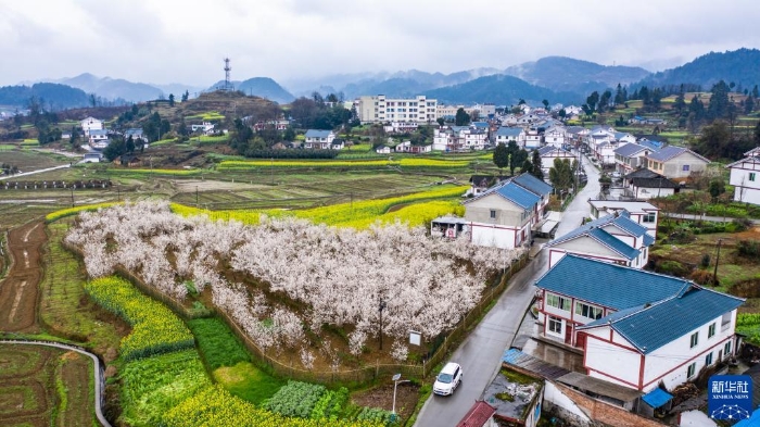 這是貴州省遵義市播州區楓香鎮花茂村風貌（無人機照片，2020年2月28日攝）。新華社記者 陶亮 攝