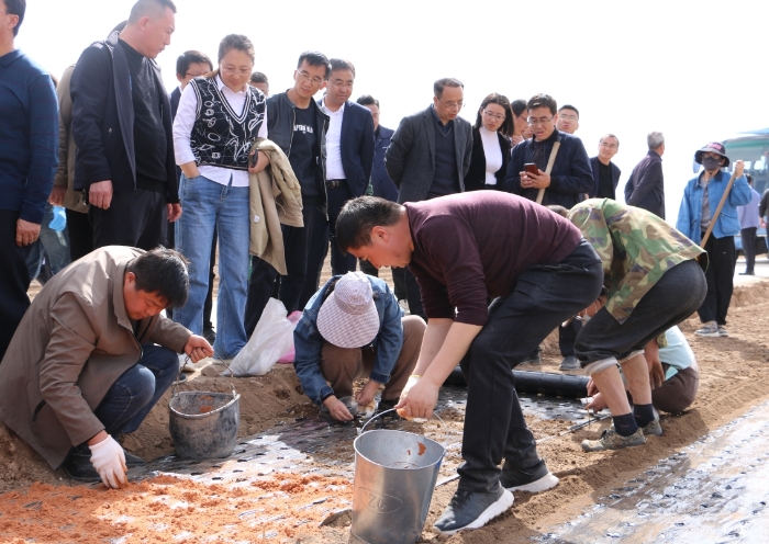 圖為參訓人員在首陽鎮(zhèn)中藥材種植基地現(xiàn)場觀摩中藥材標準化栽培流程