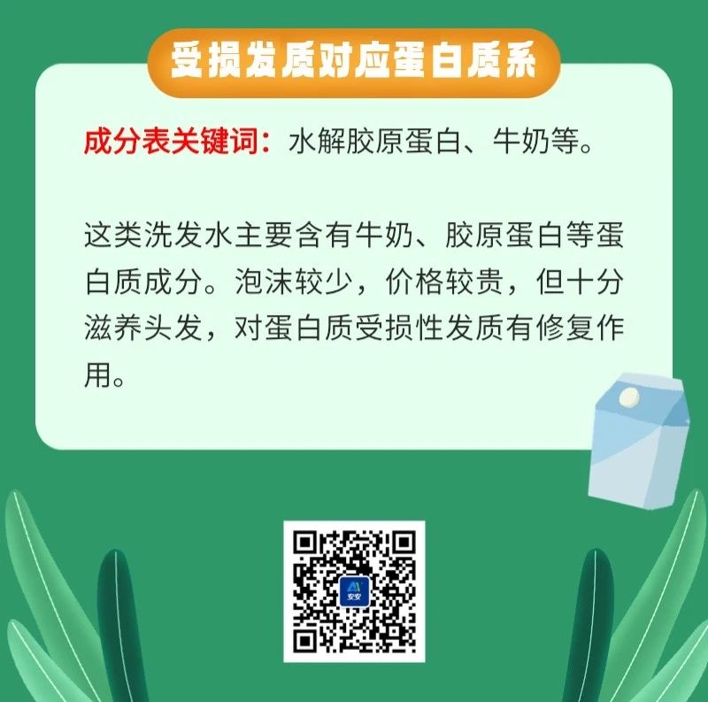 如何看成分表選對洗發水