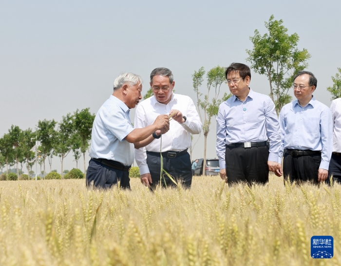 5月22日至23日，中共中央政治局常委、國務(wù)院總理李強在河南調(diào)研。這是5月23日，李強在新鄉(xiāng)市平原示范區(qū)高標準農(nóng)田調(diào)研。新華社記者 王曄 攝